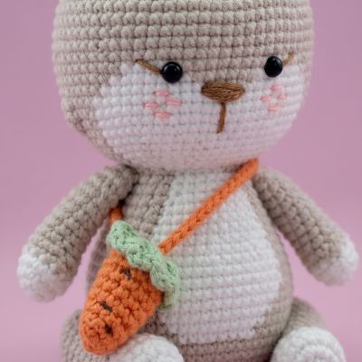 Dumpling Bunny - Coneja Amigurumi Tejida a Mano | EnFibras