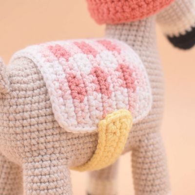 Elena Cierva - Amigurumi Pica Pau Tejido a Mano | EnFibras